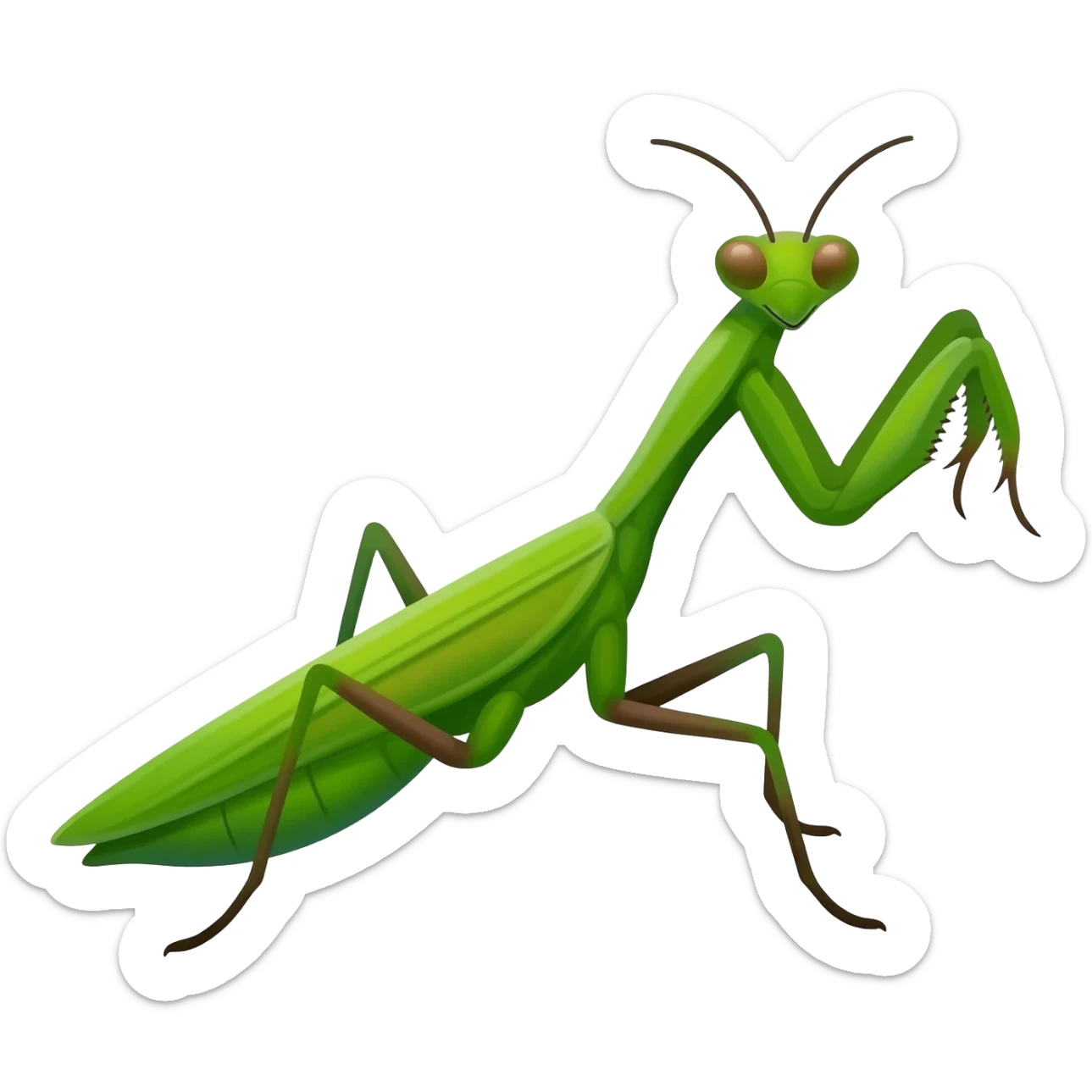 Praying mantis sticker