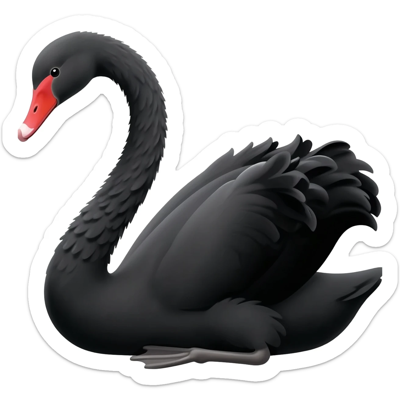 Cisne negro sticker