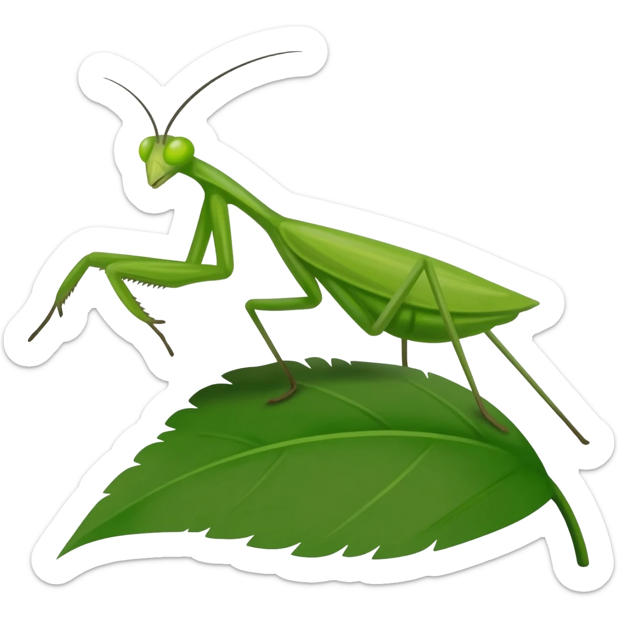 Praying mantis sticker