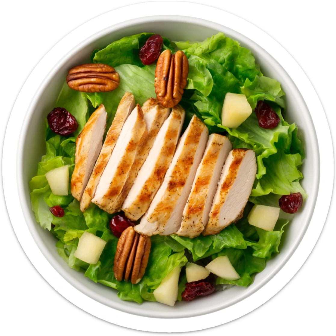 Salad with pecans, grilled chicken, dried cranberries, and apples made with iceberg lettuce sticker