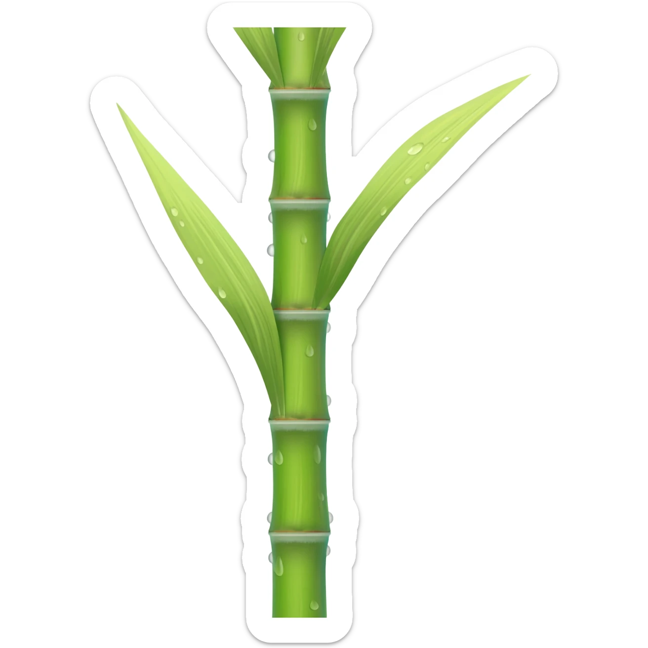 Sugarcane sticker
