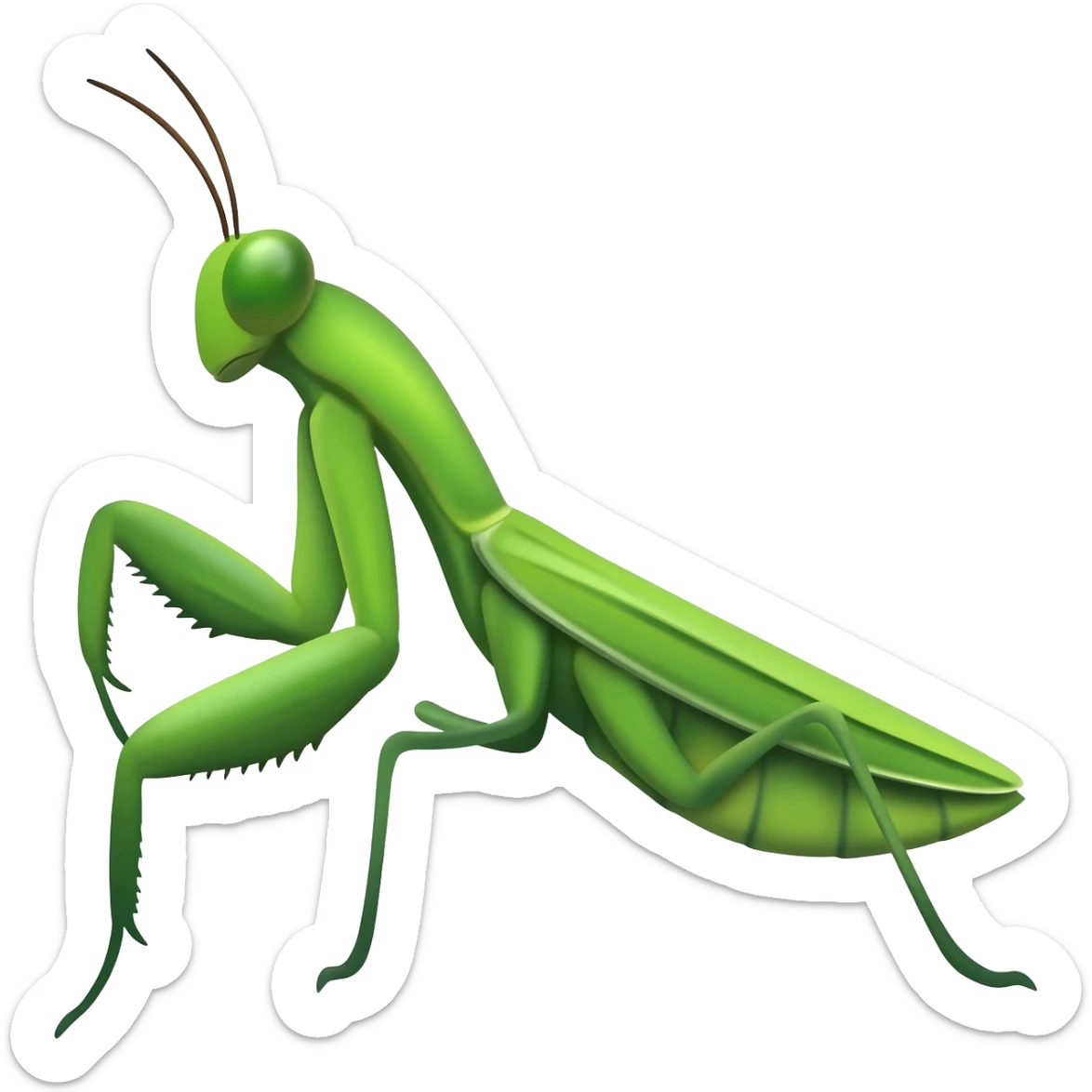 Mantis sticker