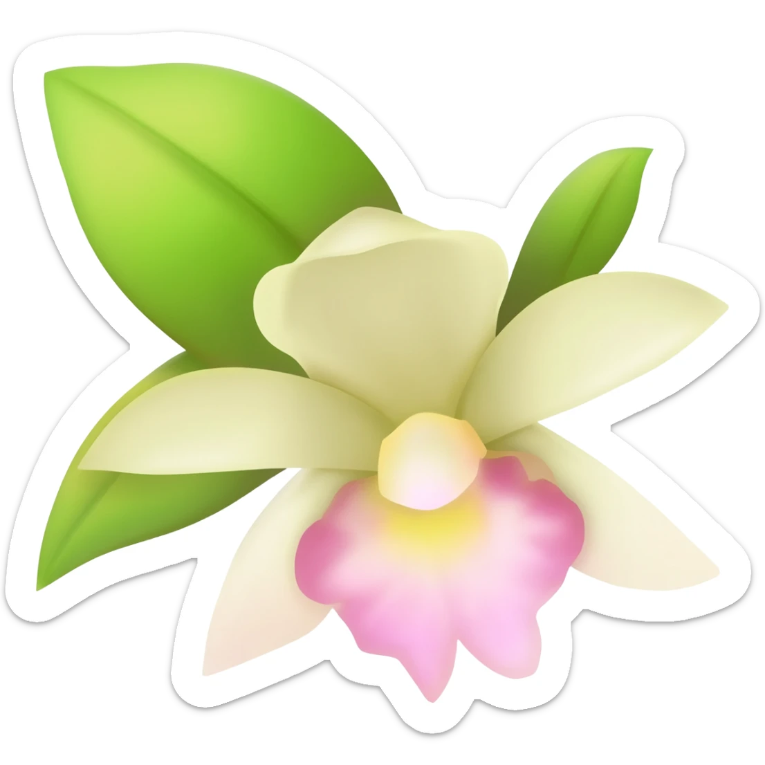 Vanilla with bloom sticker