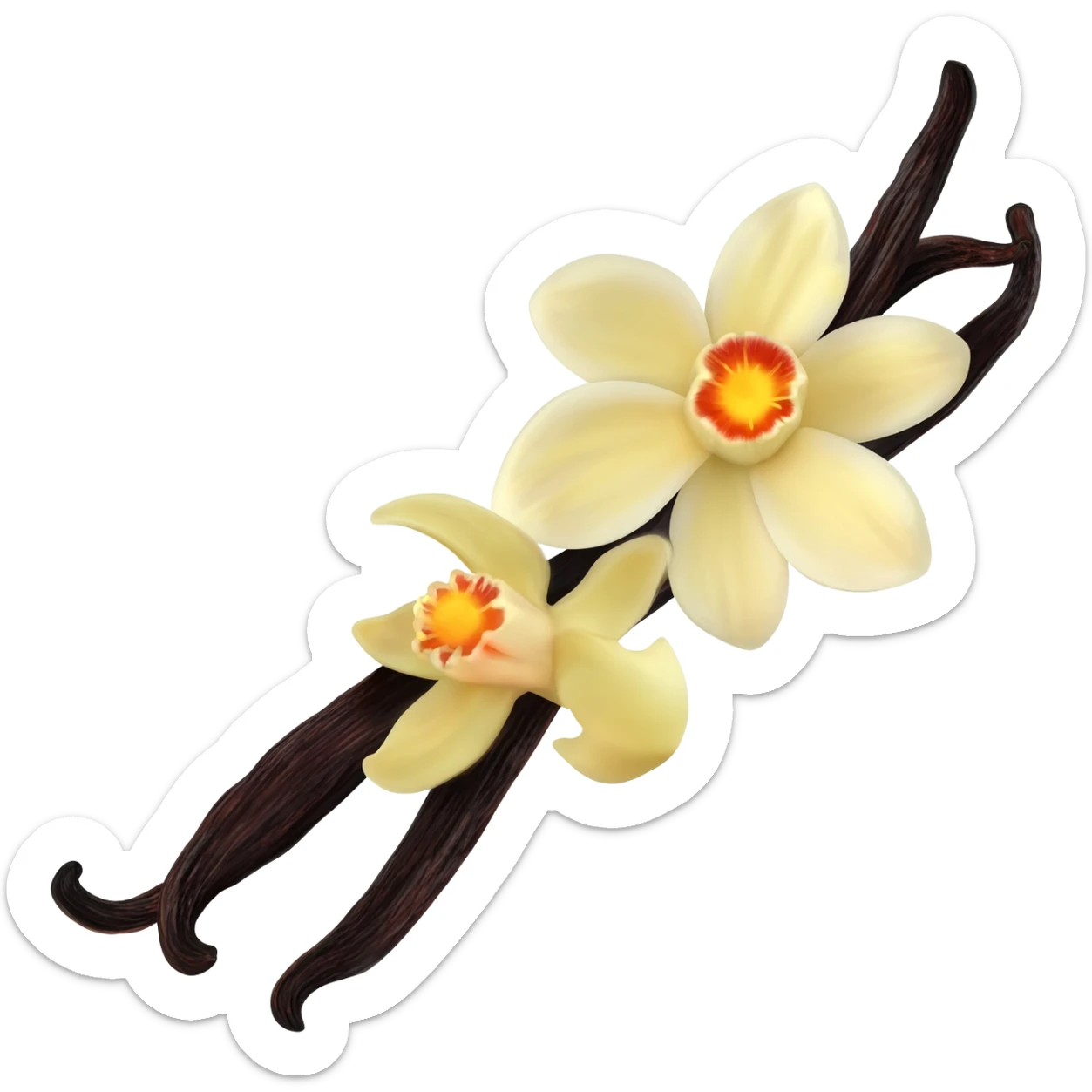 dark vanilla bean with the flower sticker