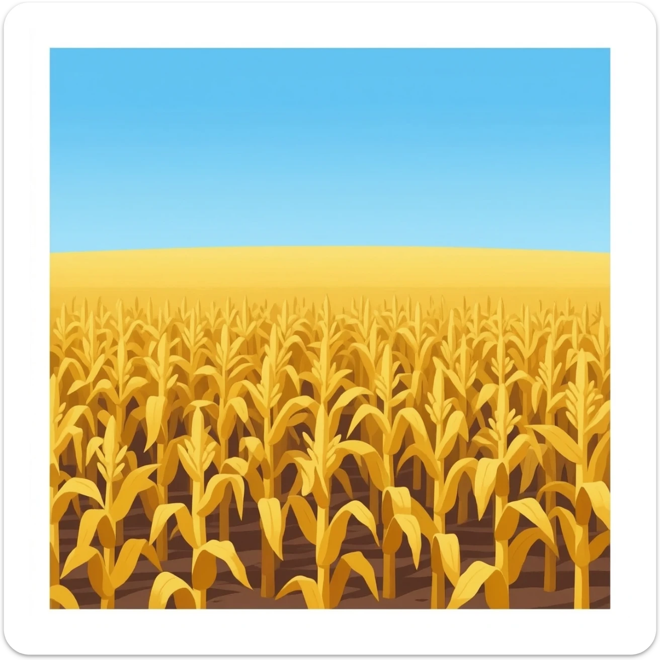 Corn field sticker