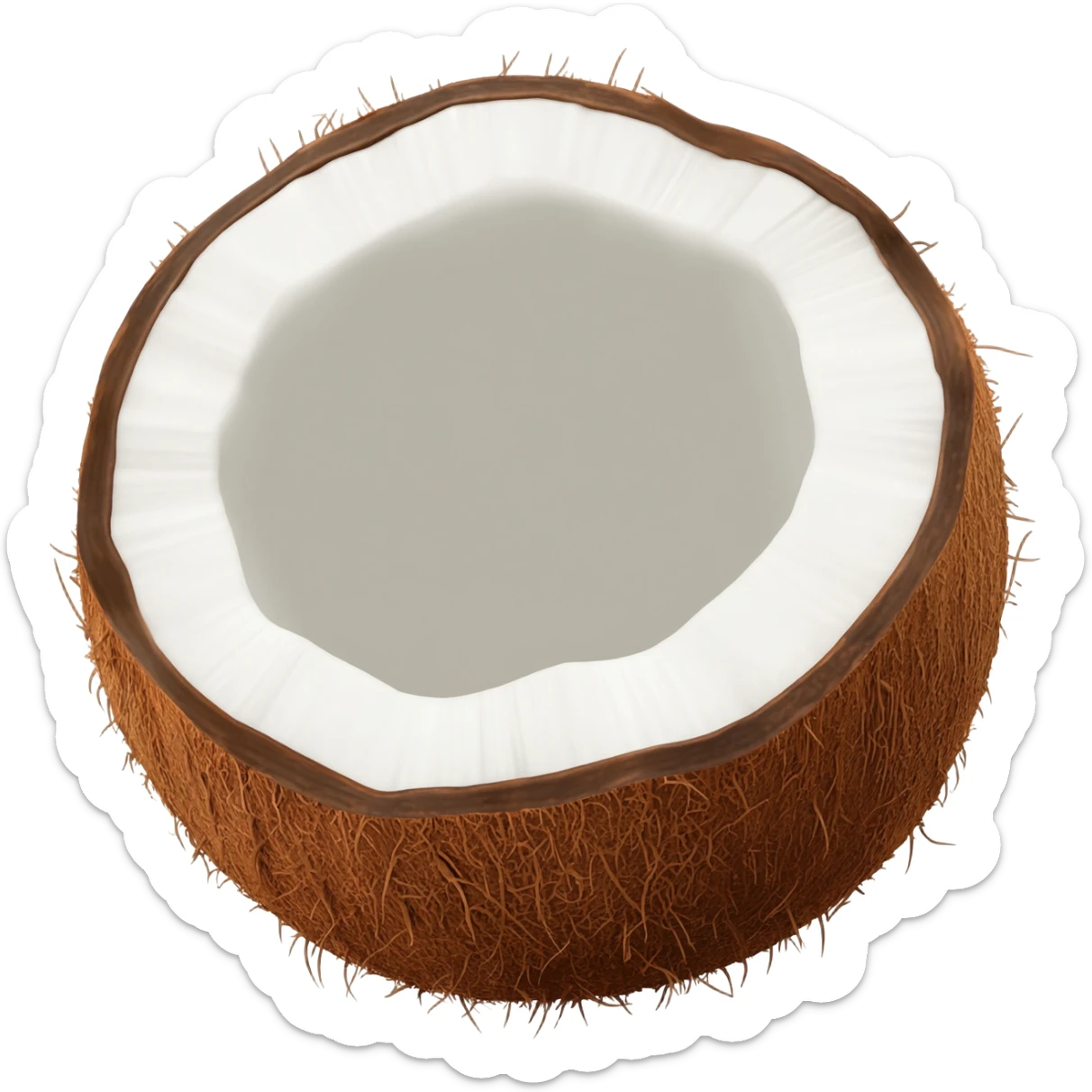 Coconut sticker