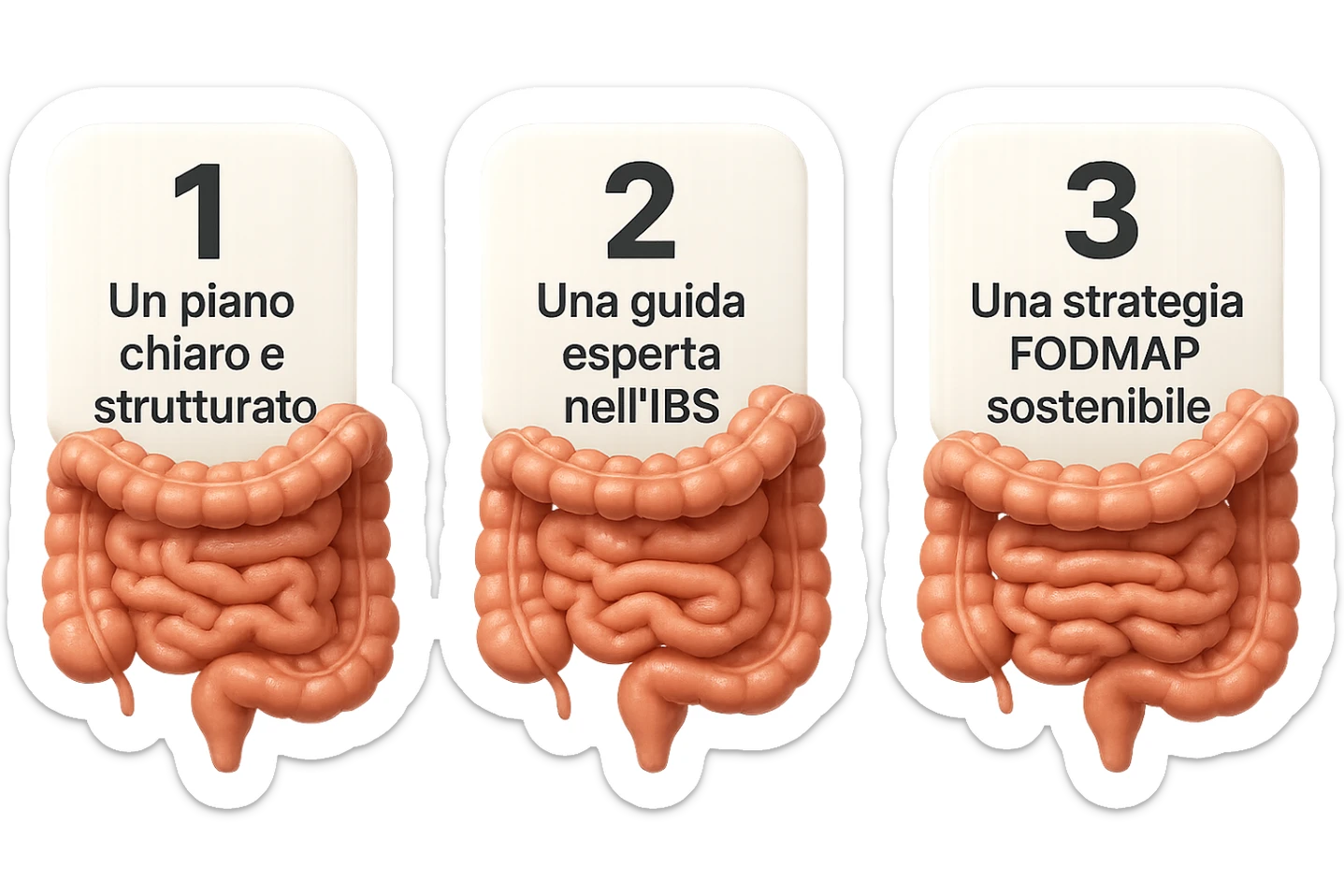 emoji stile iphone di 3 targhette numerate con intestino realistico davanti ad ogni targhetta, le targhette sono:
"1 – Un piano chiaro e strutturato
2 – Una guida esperta nell’IBS
3 – Una strategia FODMAP sostenibile"
, iperrealistico 4k sticker