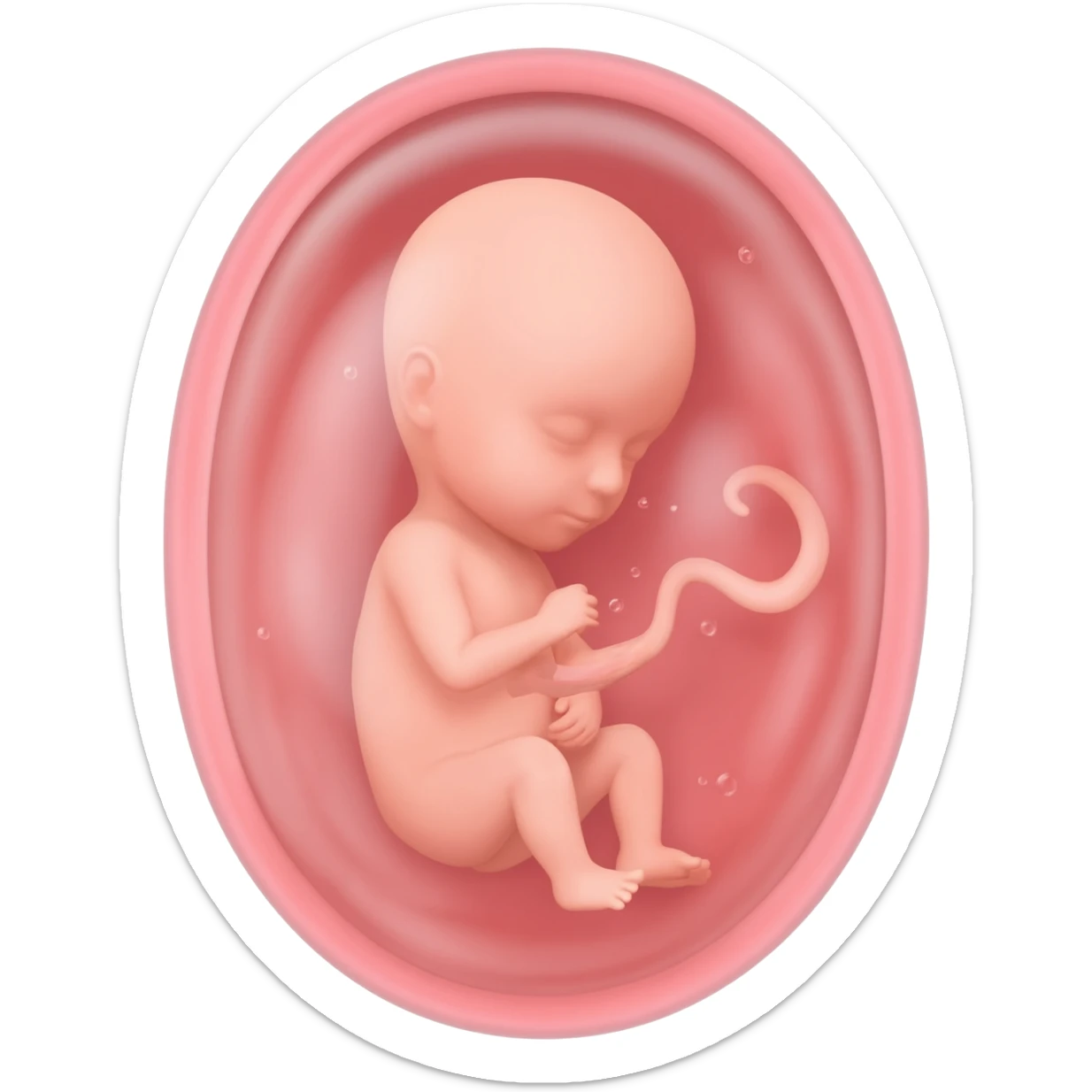 partial fetus sticker