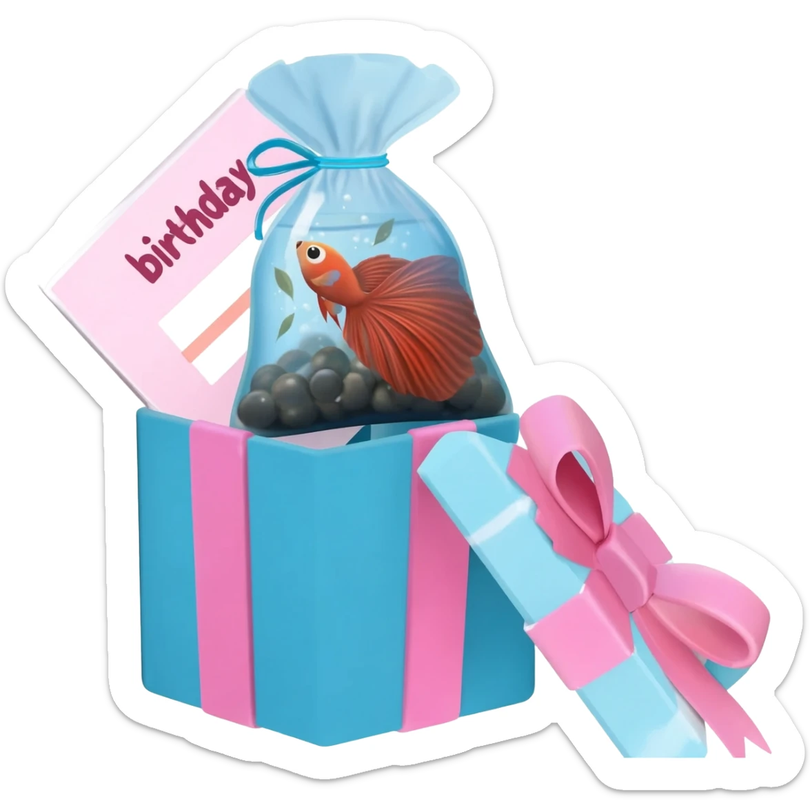 birthday gift box put a  box in pink and blue strap put a betta fish bag and a betta fish inside of the betta fish bag in birthday gift box and a birthday card by-side the gift sticker