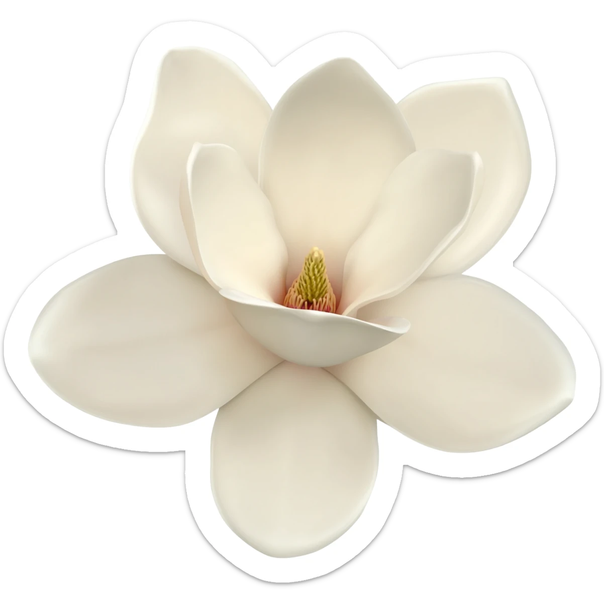 Magnolia sticker