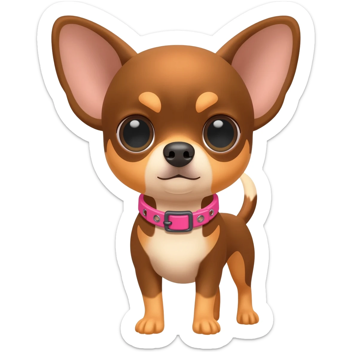 Little cute brown and tan applehead chihuahua with a pink motorcycle collar sticker