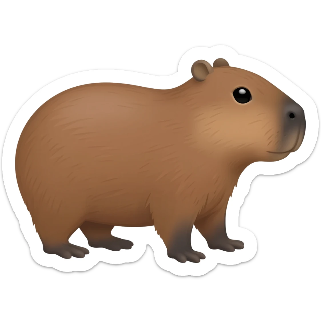 Capybara sticker