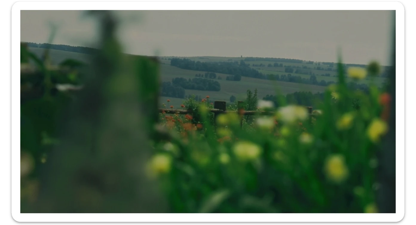 "Two shot" in the foreground, blurred plants in the foreground (frame within a frame), a wooden fence and colorfull flowers in the midground, Poland, rolling hills in the background, cinematic depth of field, layered composition, natural lighting sticker