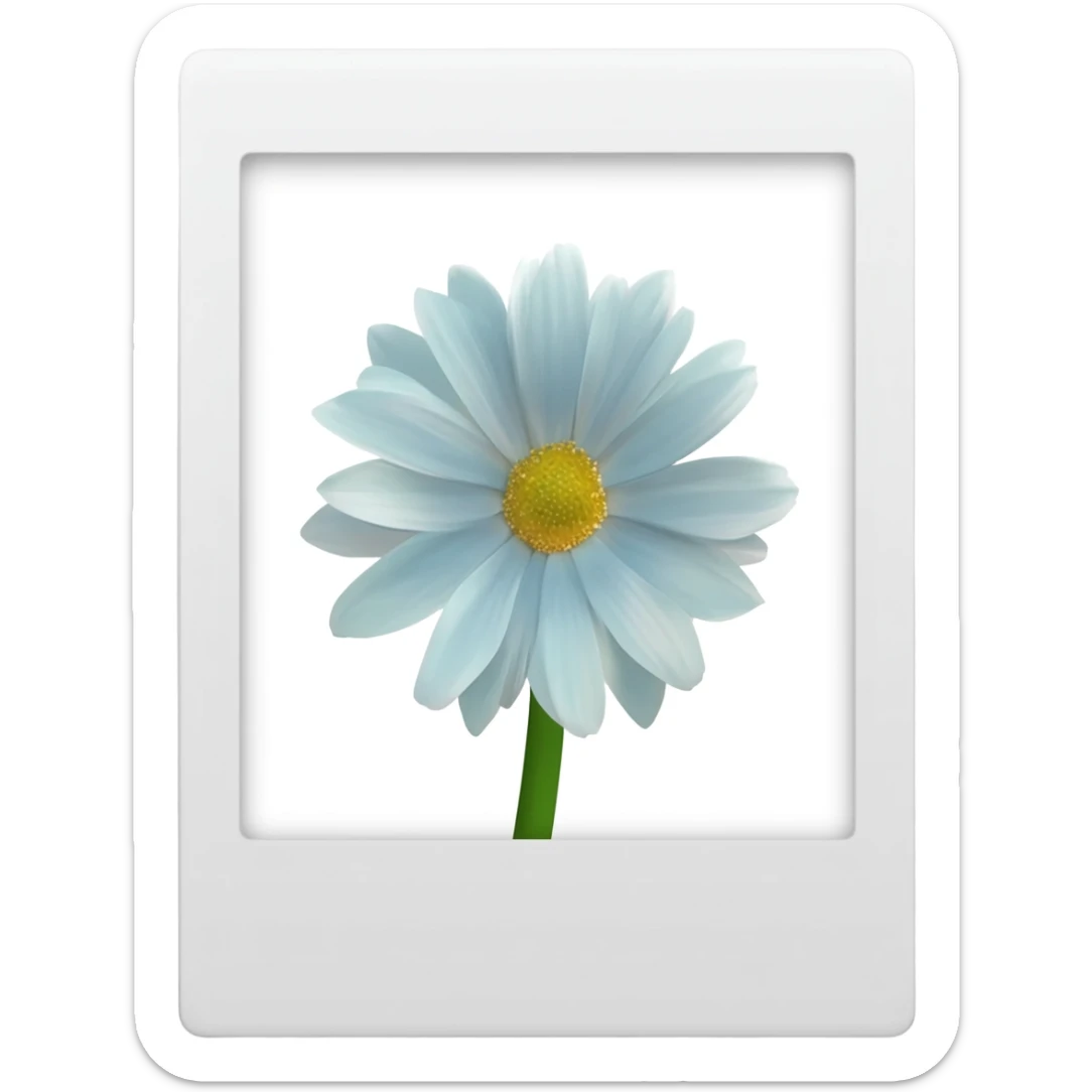 white Polaroid of a flower sticker
