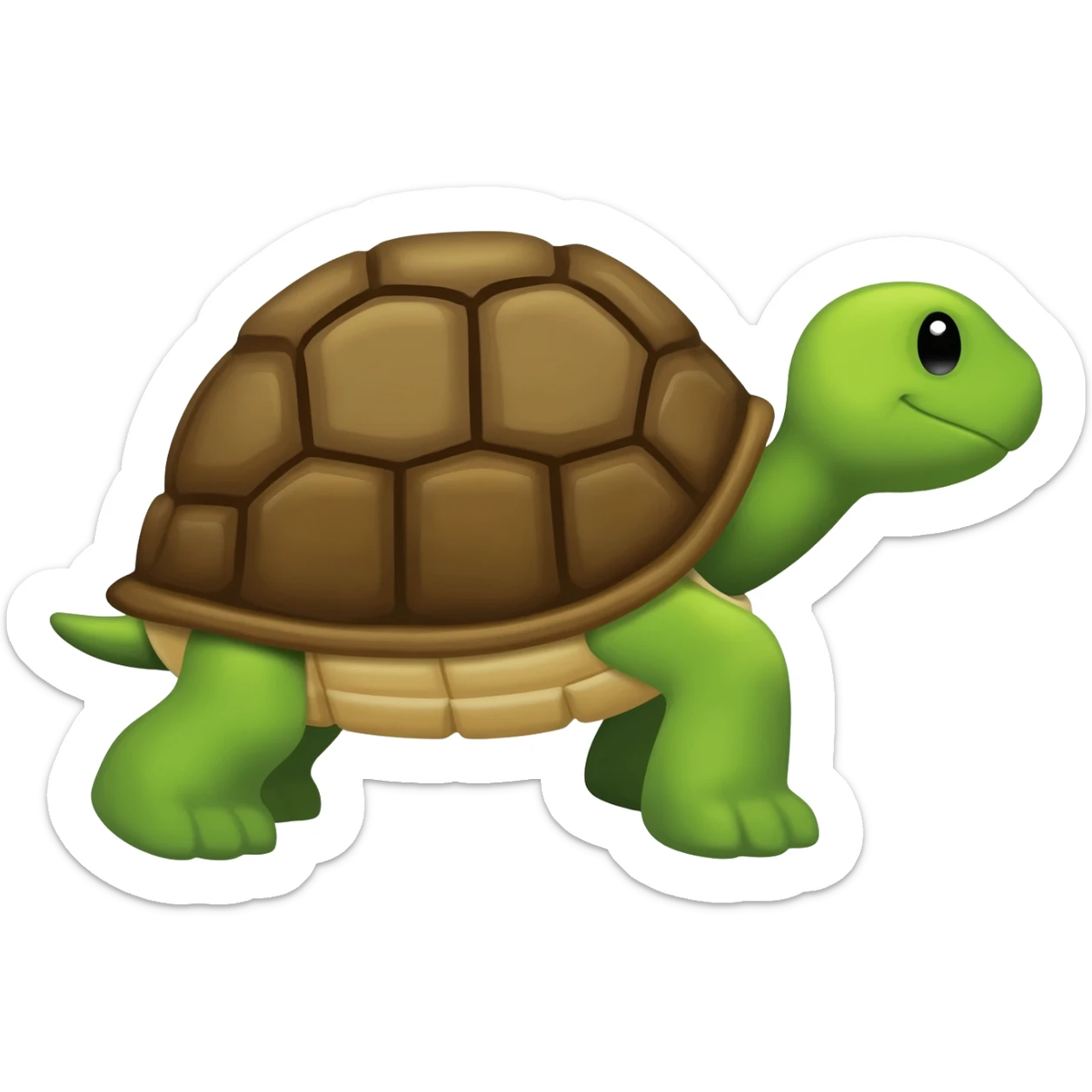 Turtle mexic sticker