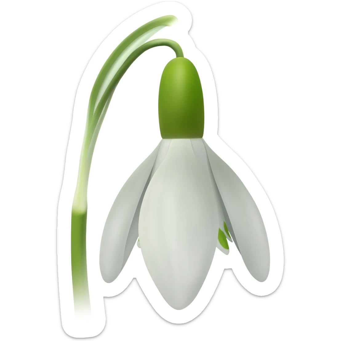 snowdrop sticker
