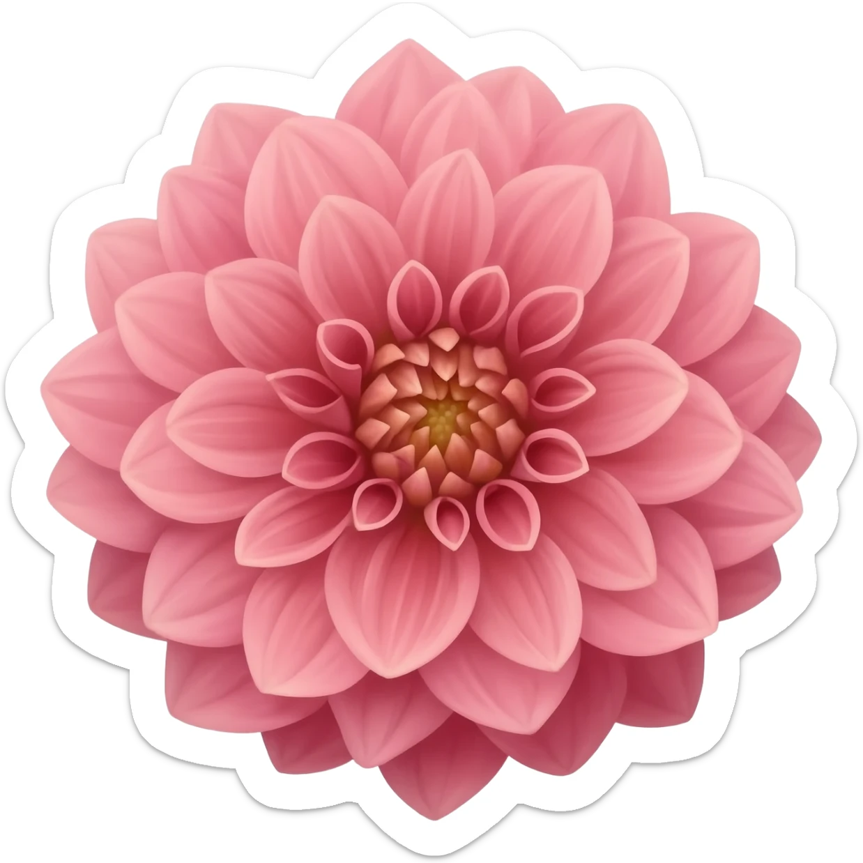 Dahlia flower sticker