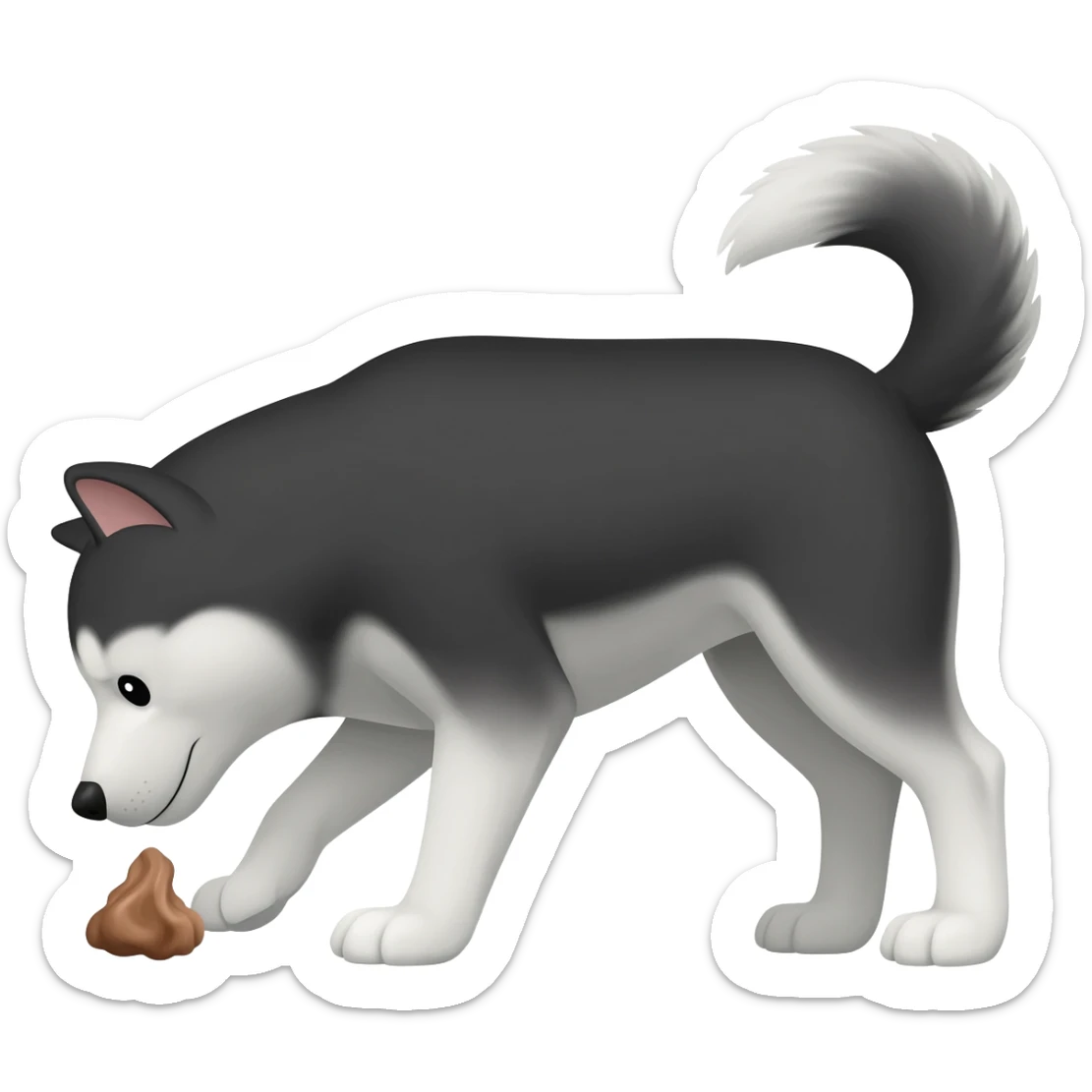 husky dog ​​shits sticker