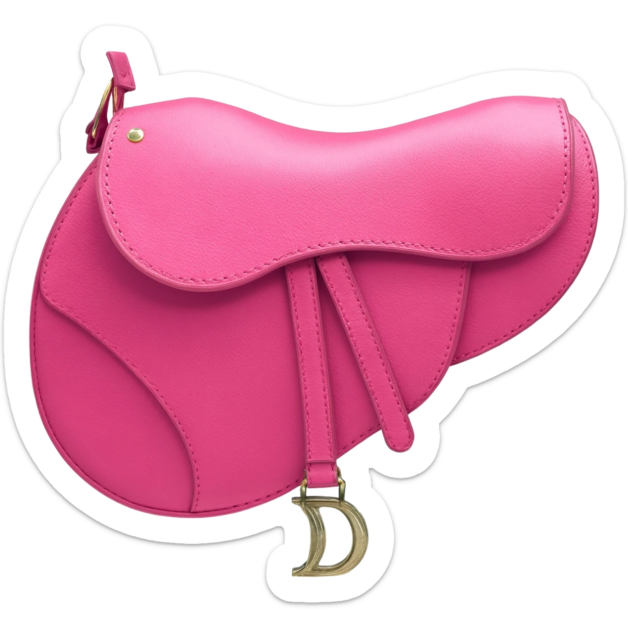dior pink saddle bag sticker