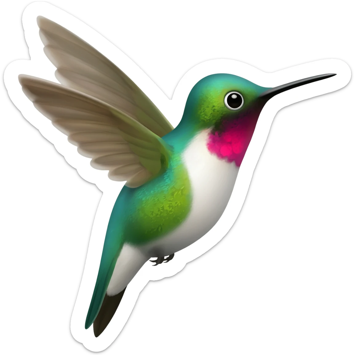 Colibrí sticker