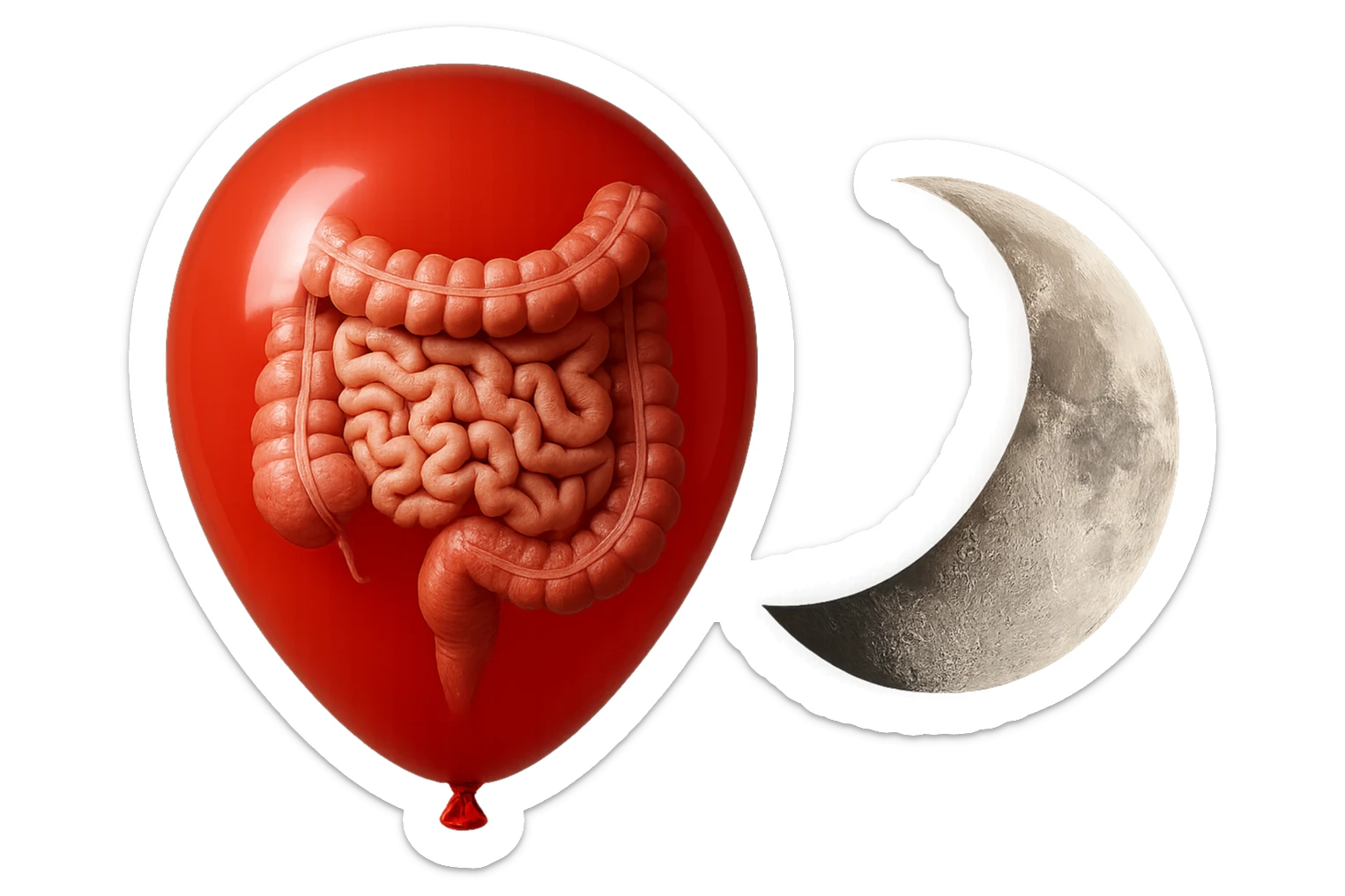 intestino umano anatomico chiuso in un palloncino rosso che simboleggia gonfiore, accanto una mezza luna che simboleggia "gonfiori di sera", iperrealistico 4k sticker
