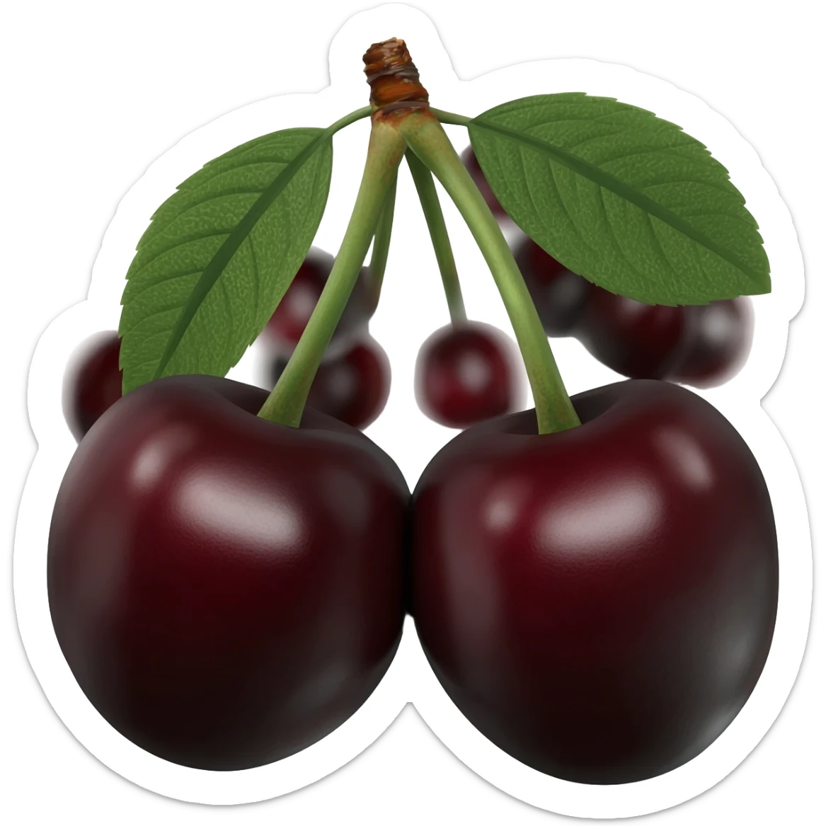 i want dark cherries with black sticker