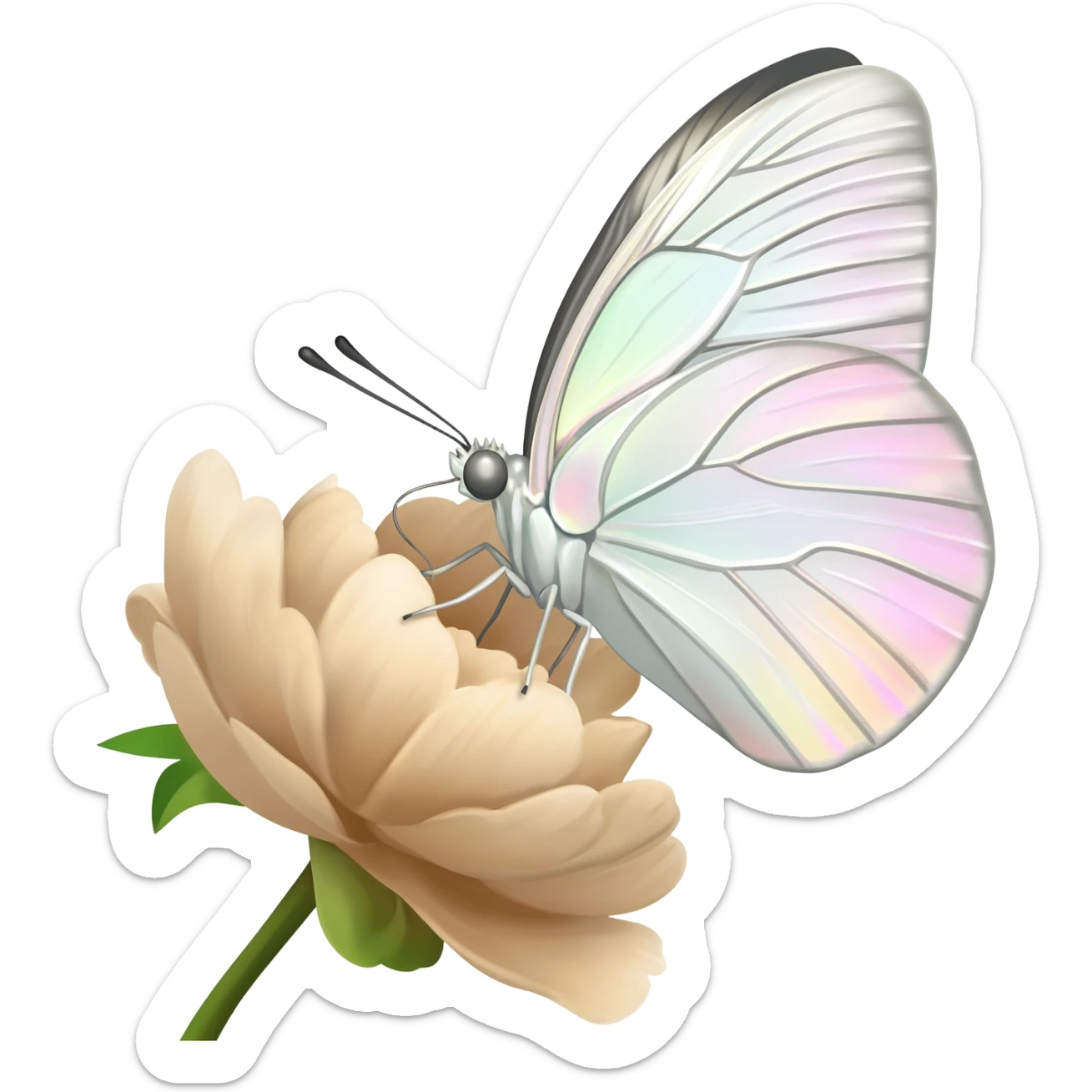 A beautiful white butterfly sits on a beige peony sticker