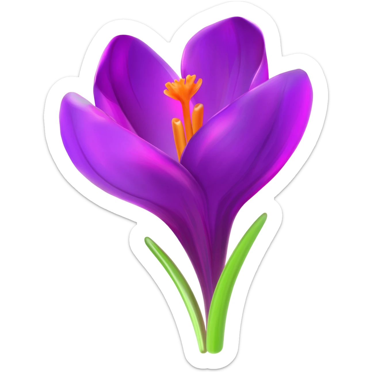 flower crocus sticker