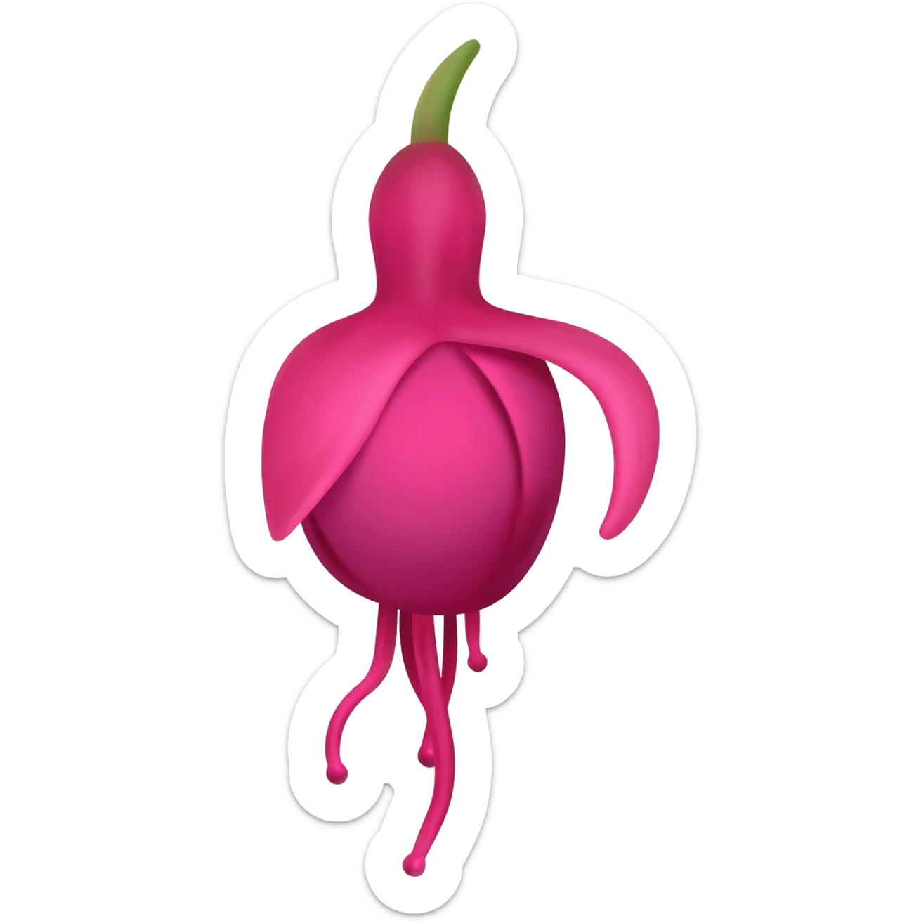 fuchia notas sticker