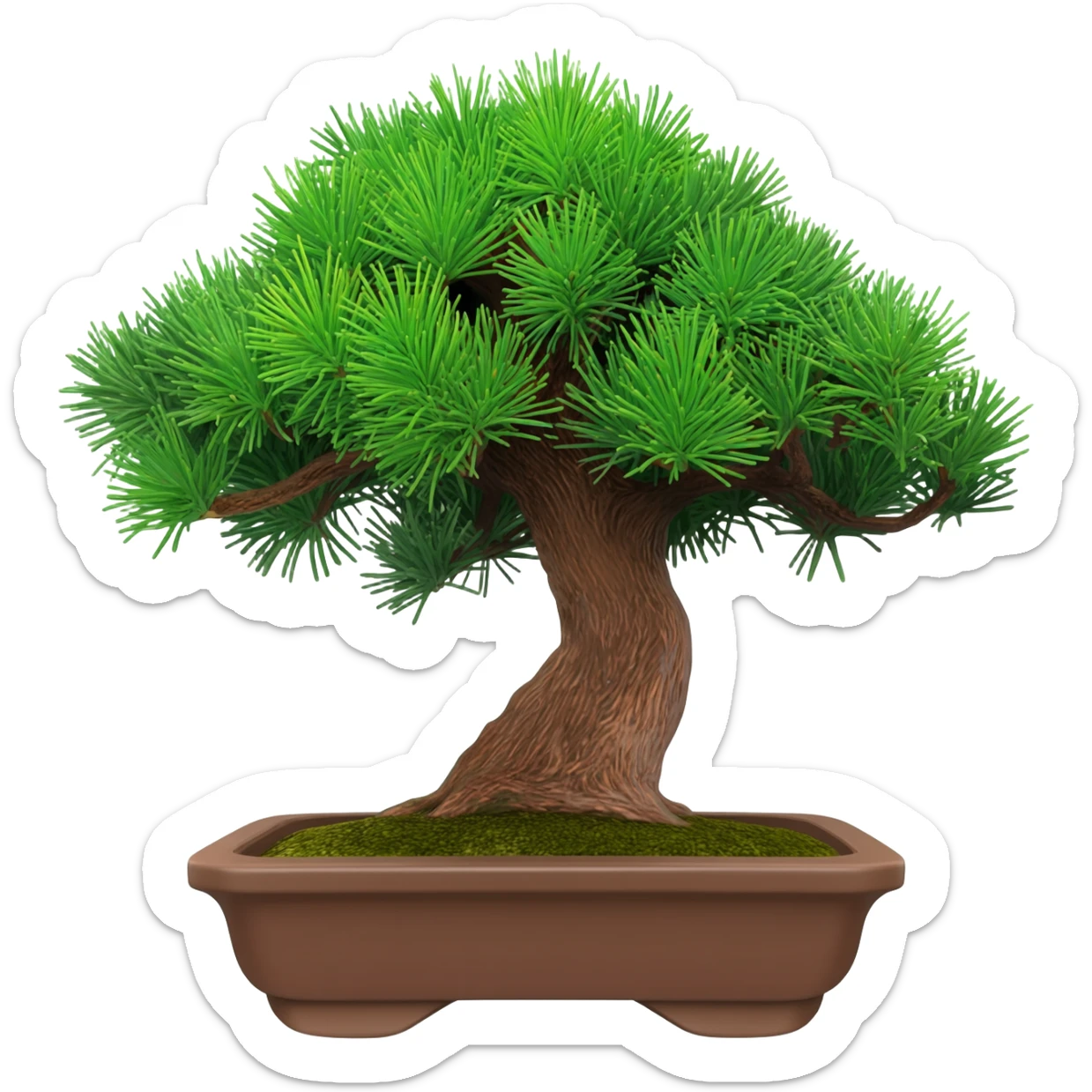 bonsai juniperus itoigawa sticker