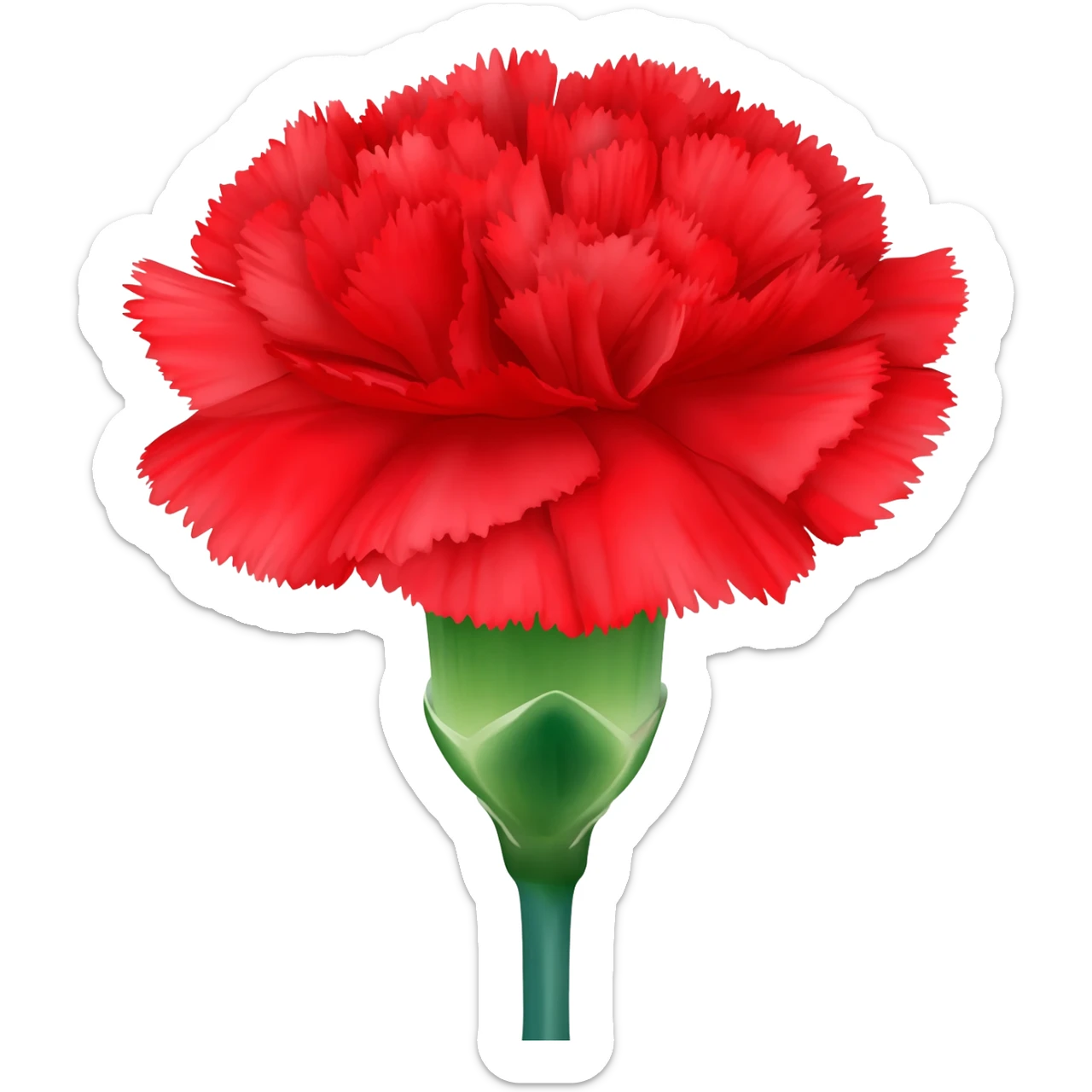 carnation flower sticker