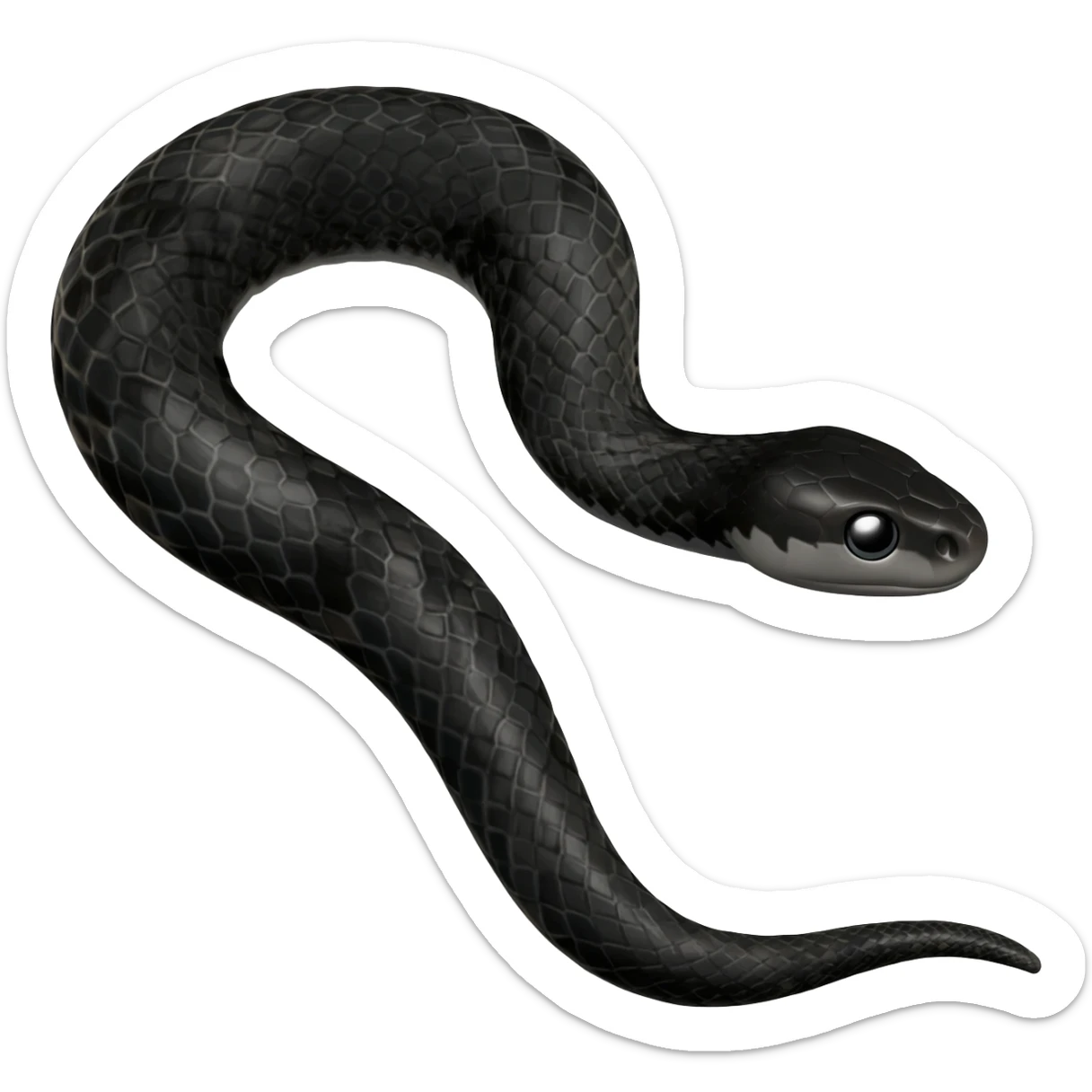 Black snake sticker