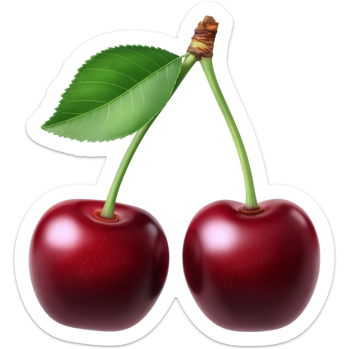 i want realistic dark cherries sticker