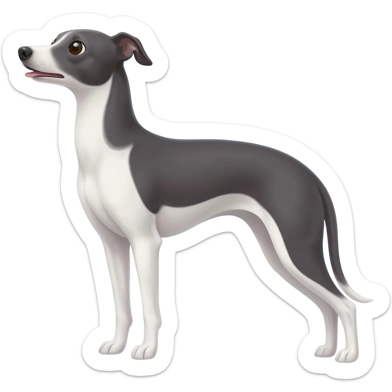Italian greyhound  sticker