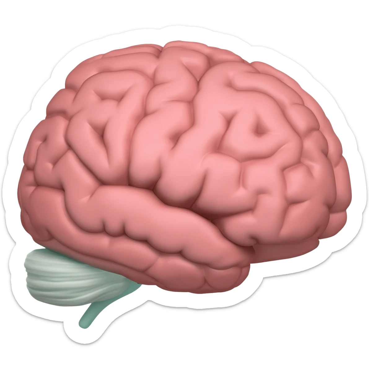 brain support, sticker