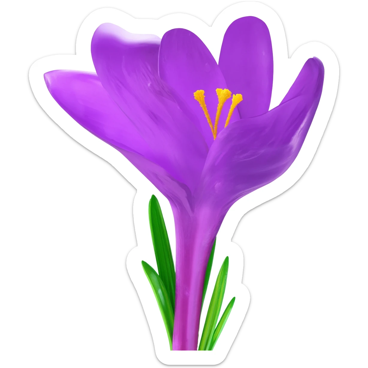 Crocus sticker