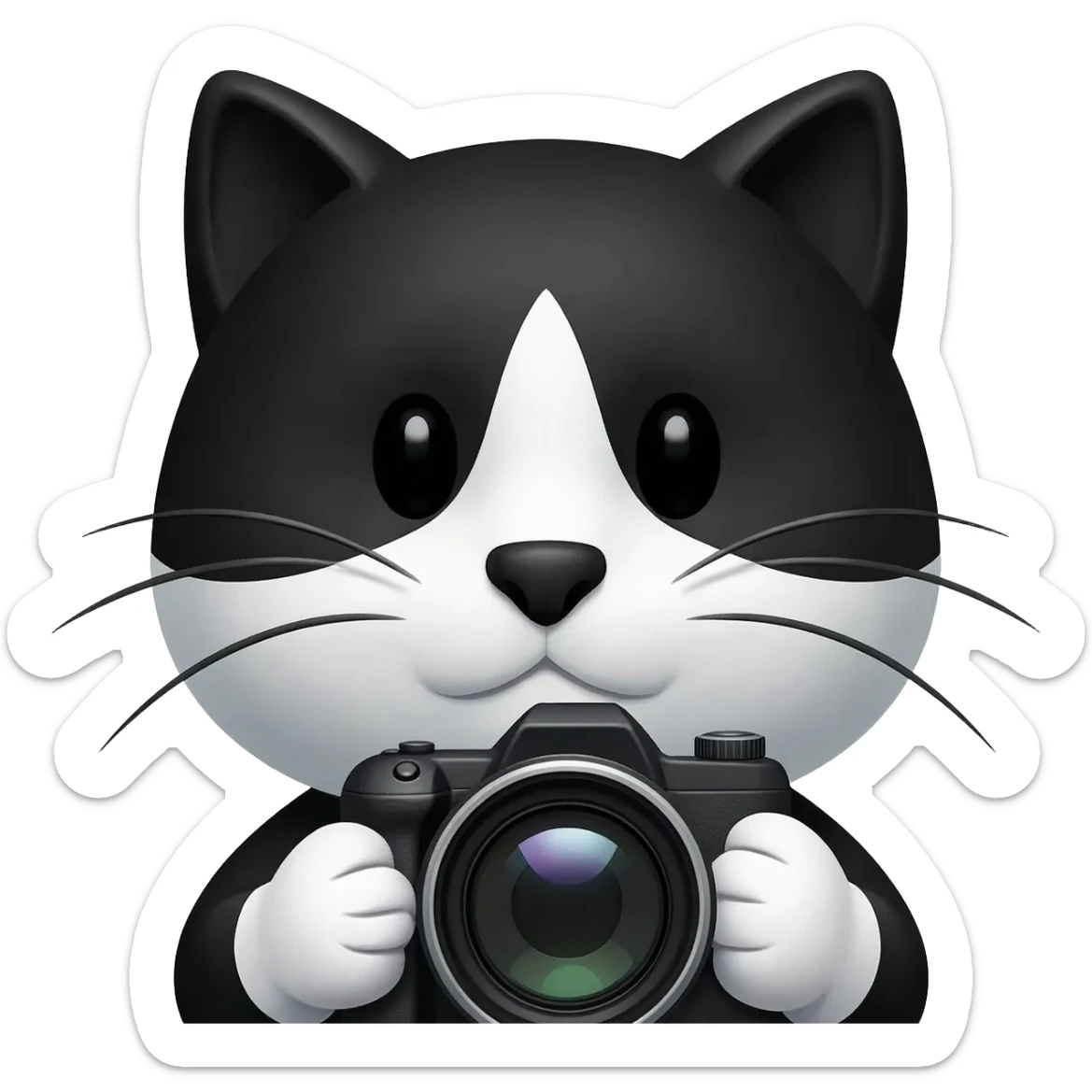 Upper portion of a black and white cat taking a picture sticker