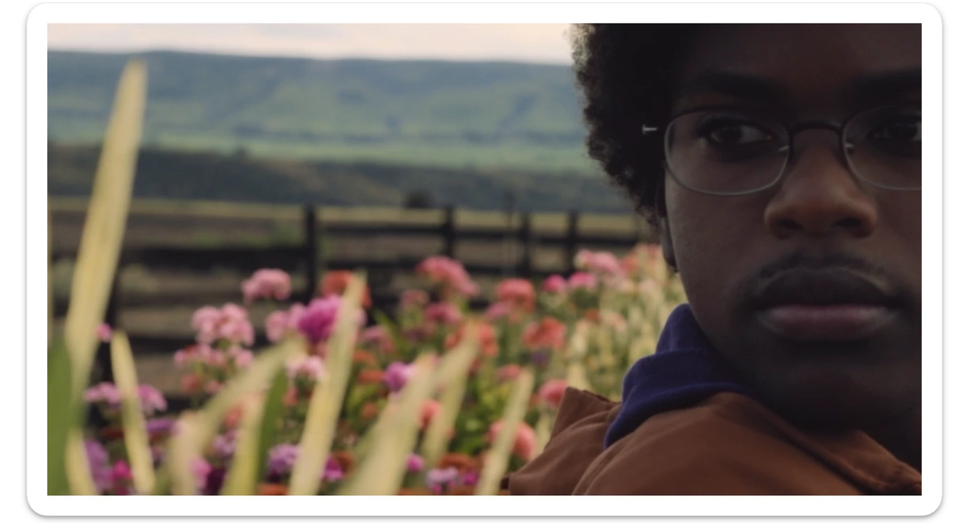 A portrait of a person in the foreground, blurred plants in the foreground (close to the camera), a wooden fence and colorfull flowers in the midground, rolling hills in the background, cinematic depth of field, layered composition, natural lighting sticker