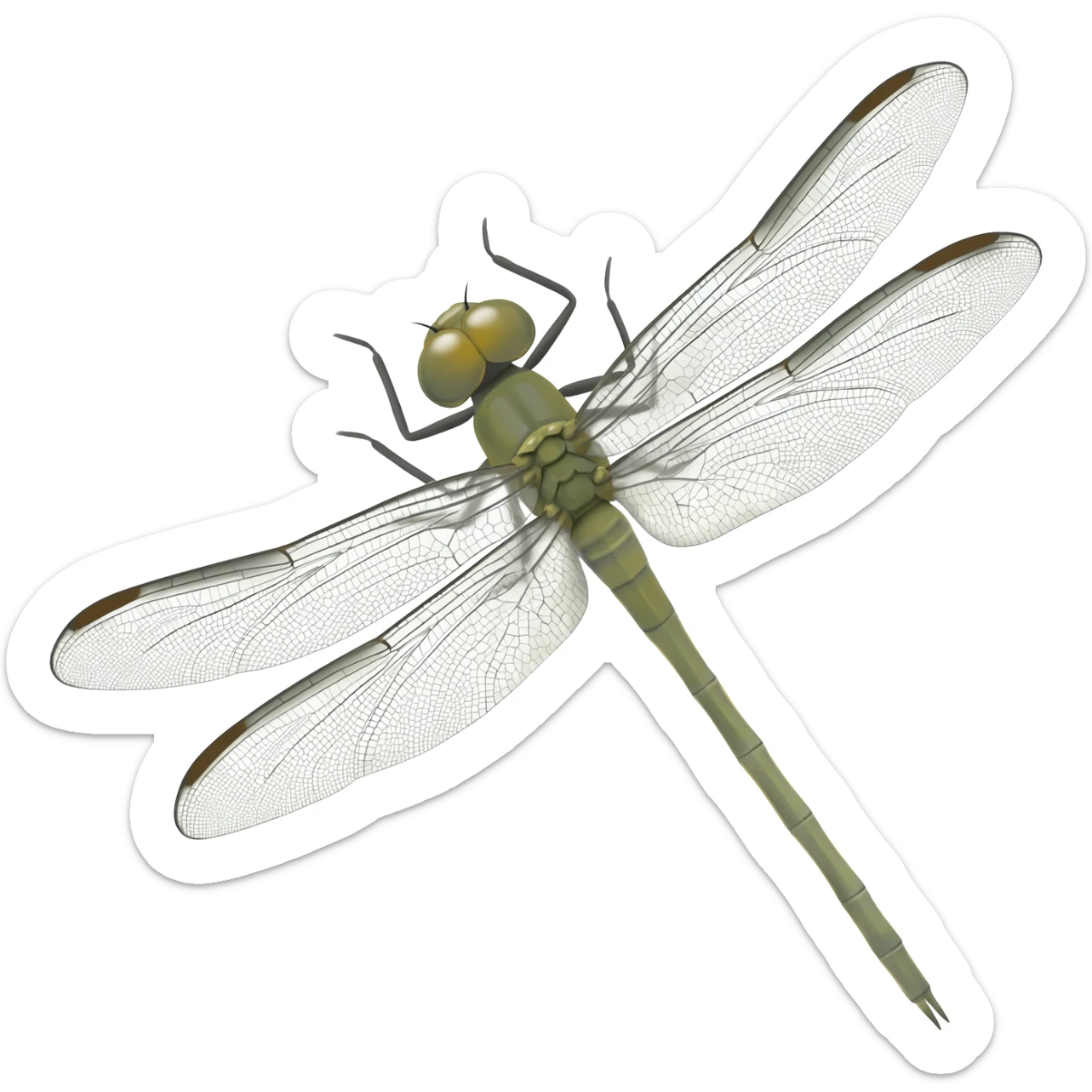 albino dragonfly sticker