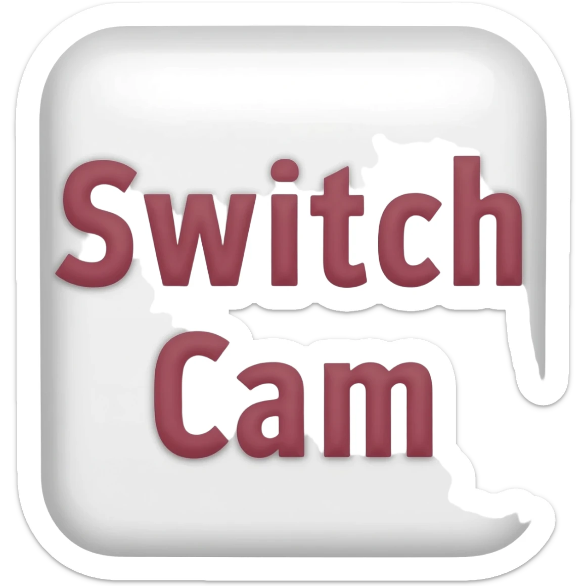 Fun words that say "Switch Cam" sticker