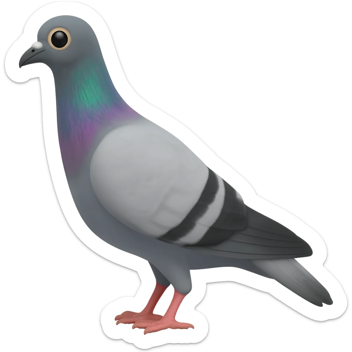 Pigeon sticker