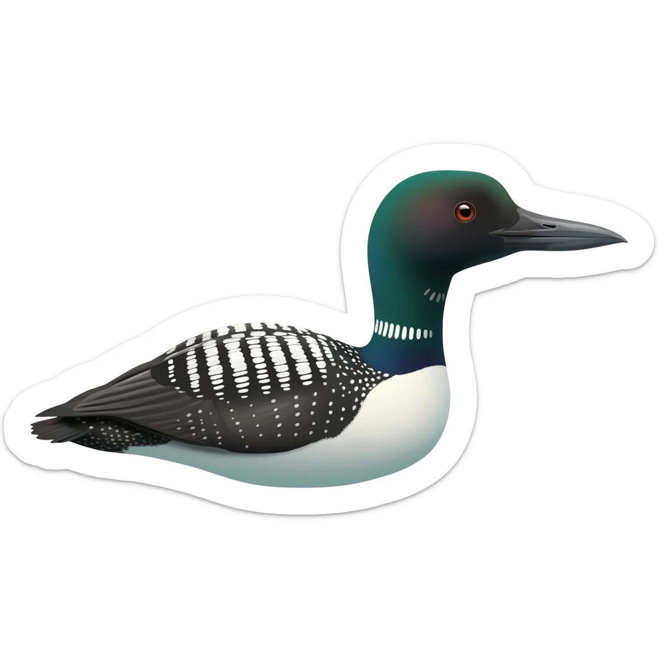 Loon sticker