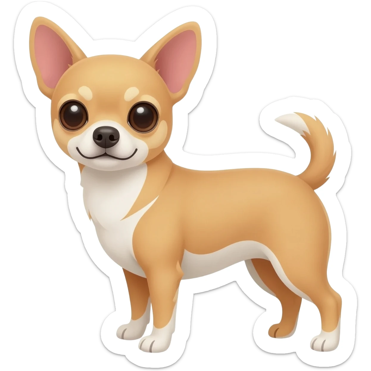Chihuahua beige et blanc au ventre sticker