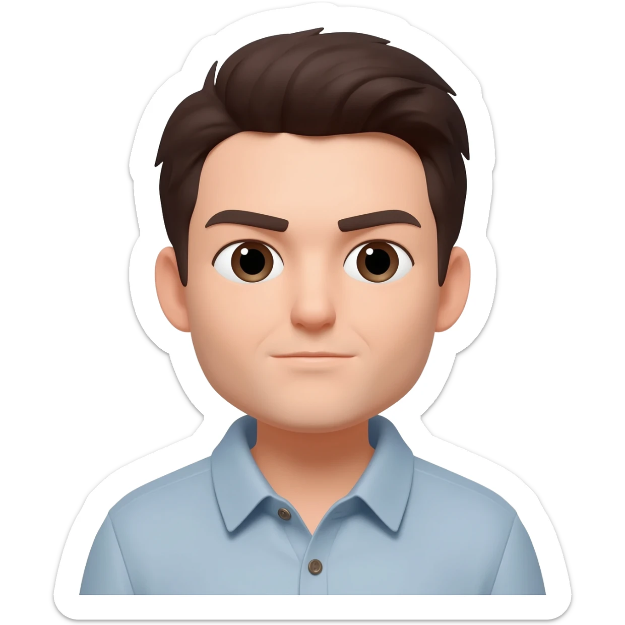 Can I use my picture sticker