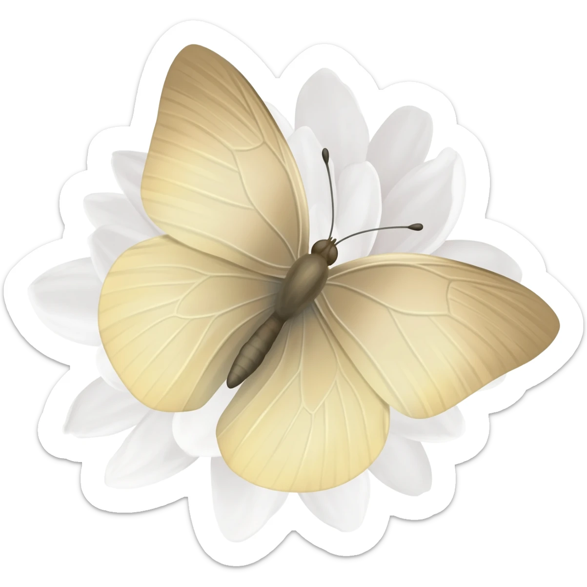 A beautiful light beige butterfly sits on a white peony sticker