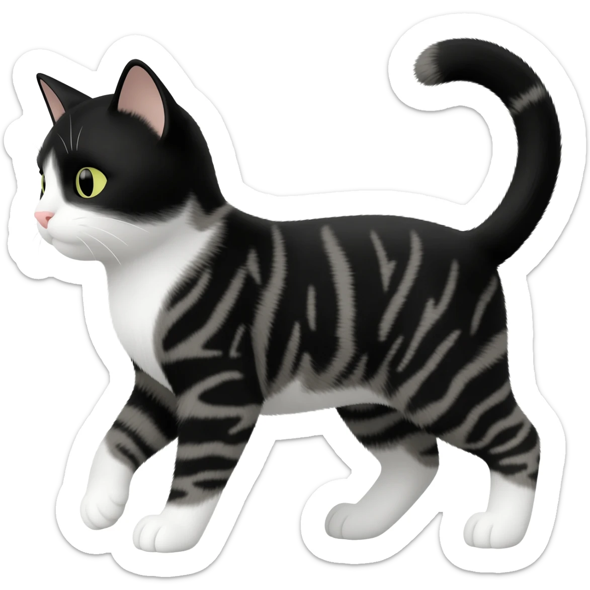 black and white tabby cat with tipped ear sticker
