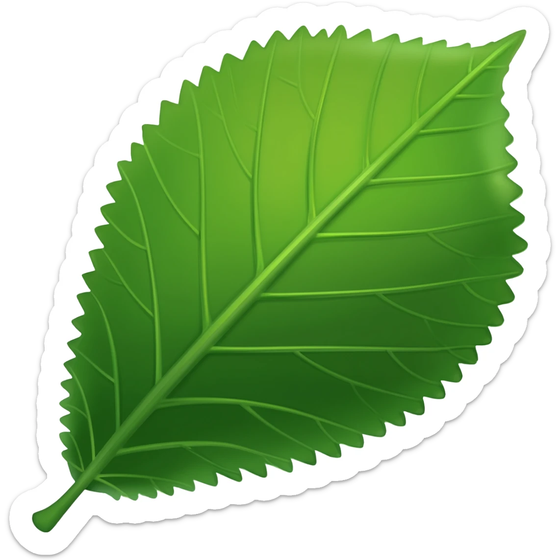 O H I O buckeye sticker