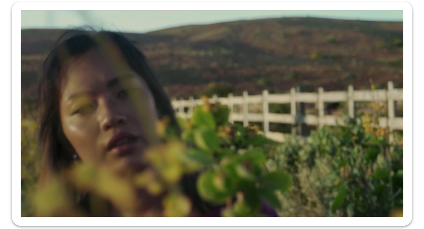 A portrait of a person in the foreground, blurred plants in the foreground (close to the camera), a wooden fence in the midground, rolling hills in the background, cinematic depth of field, layered composition, natural lighting sticker