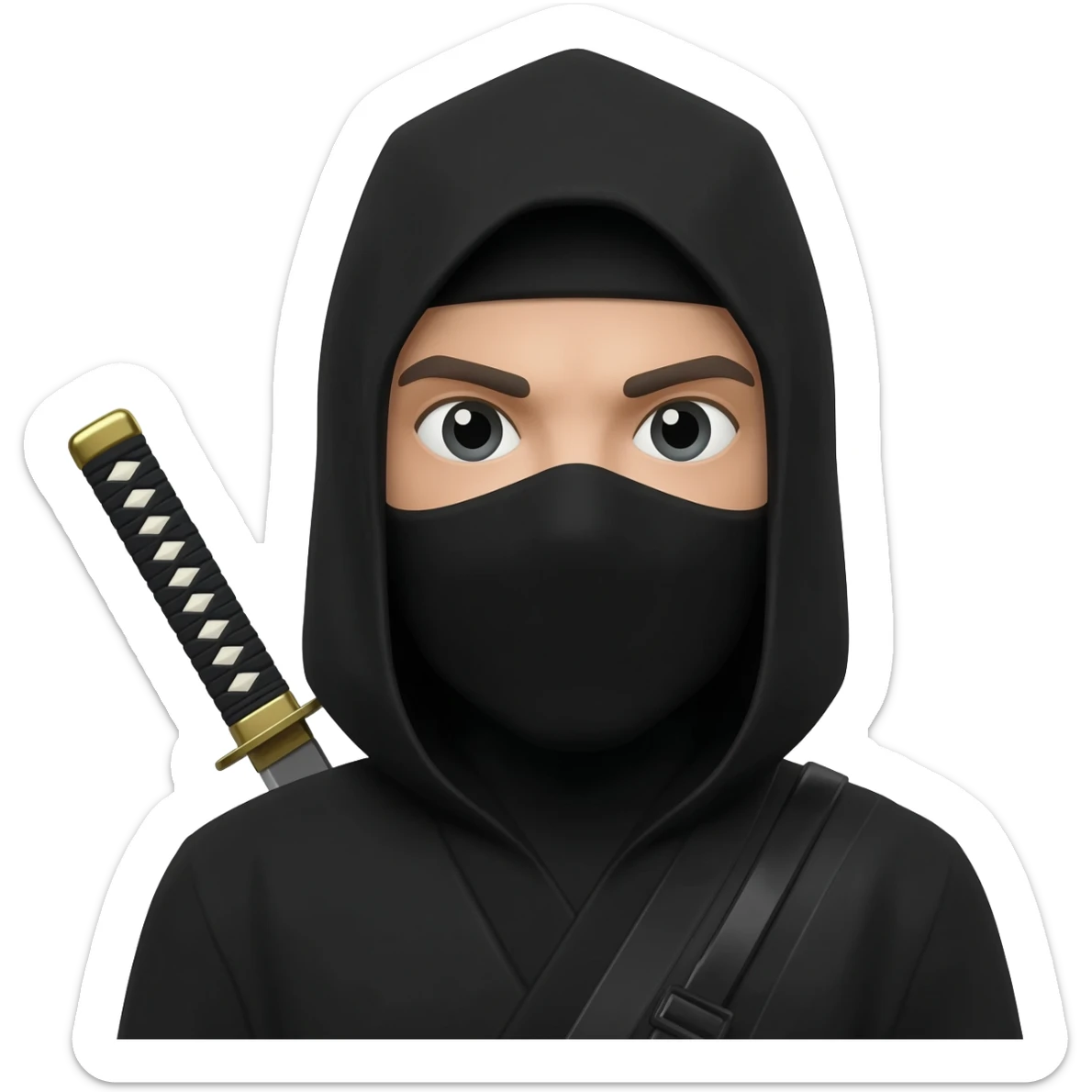 Ninja sticker