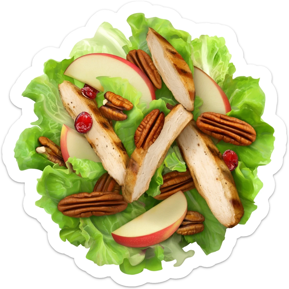 Salad with pecans, grilled chicken, dried cranberries, and apples made with iceberg lettuce sticker